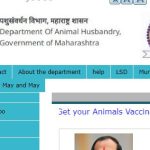AHD Maharashtra Livestock Supervisor Result 2024